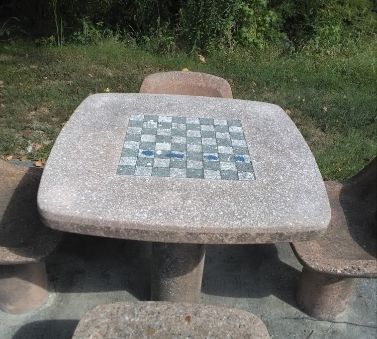 Park Chess Table (Carbondale,&nbspIL)